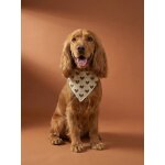 Bandana chien coton marron imprim�