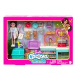 Barbie coffret chelsea v�t�rinaire multicolore