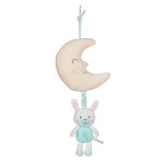 Bo�te � musique les ptits f�eriques lapin - 32 cm vert