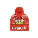 Le bonnet de nol  pois du grinch vert