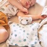 Bouillotte b�b� chat gris