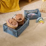 Cagette pliante - arry bleu