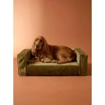 Canap� chien velours moyen bronze