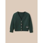 Cardigan en pure laine mrinos vert foret