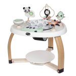 Centre d'activit�s stationnaire 5 - en - 1 black & white