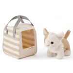 Chat et sac de transport multi - coloured