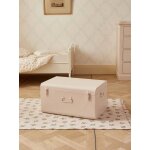 Coffre de rangement en m�tal nude