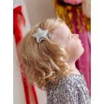 Coffret d'accessoires pour les cheveux argent