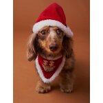 Collier bandana + bonnet de noël pour chien rouge Collier bandana + bonnet de noël pour chien rouge