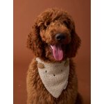 Collier bandana pour chien écru Collier bandana pour chien écru