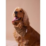 Collier bandana pour chien marron imprim�