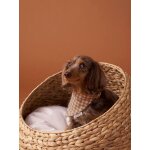 Collier bandana  damier pour chien carreaux marron