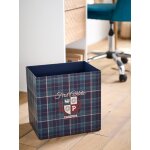 Corbeille en carton pliable ecusson vert / bleu