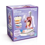 Corps humain interactif 3d avec organes amovibles et quiz �ducatif - so science multicolore