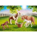 Country poneys avec poulains 70682 multicolore