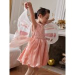 Dguisement fe + ailes rose