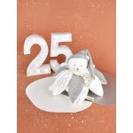 Doudou 25 ans - ours argent - pantin attache - sucette argent