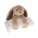Doudou lapin et son plaitoil� 05 marron