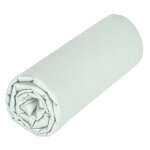 Drap housse en coton jersey uni vert amande