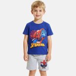 Ensemble gar�on t - shirt manches courtes et short spider - man gris