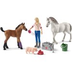 Farm world - visite du v�t�rinaire pour la jument et le poulain multicolore