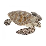 Figurine tortue caouanne marron