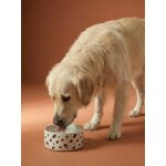 Gamelle en c�ramique pour chien blanc imprim�