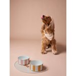 Gamelle en c�ramique pour chien camel