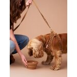 Gamelle en silicone r�tractable pour chien et chat camel