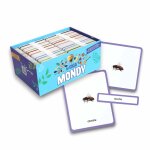 Giga mondy, cartes de nomenclature montessori multicolore