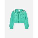 Gilet en maille avec sequins et bouton de fermeture vert