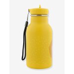Gourde isotherme 350 ml mr lion