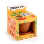Je fais pousser mon bananier marron