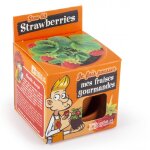 Je fais pousser mon fraisier marron Je fais pousser mon fraisier marron