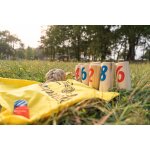 Jeu d'adresse en bois fsc - jeu de quilles - jeu ext�rieur multicolore