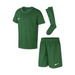 Kit de football dry park - chaussettes, short et maillot vert