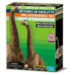 Kit de fouille squelette de brachiosaure � d�terrer et assembler multicolor