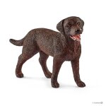Labrador retriever, femelle marron