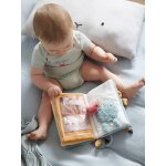 Livre d'veil et photos les amis de la fort vert