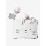 Livre d'veil et photos dans les bois vert sauge