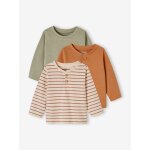 Lot de 3 tee - shirts bb noix de pcan