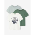 Lot 3 tee - shirts manches courtes garon vert