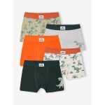 Lot 5 boxers dino encre