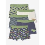Lot 5 boxers garon dinosaures bleu ardoise