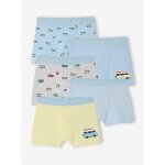 Lot 5 boxers van vert d'eau