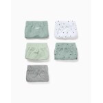 Lot de 5 slips en coton avec imprim�s dinosaures multicolore