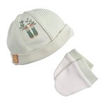 Lot bonnet et moufles bb en coton - botanica vert