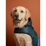 Manteau imperm�able pour chien bleu ardoise