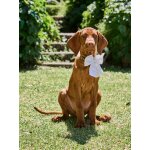 Noeud coton broderie animal beige