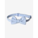 Noeud papillon gar�on bleu ciel